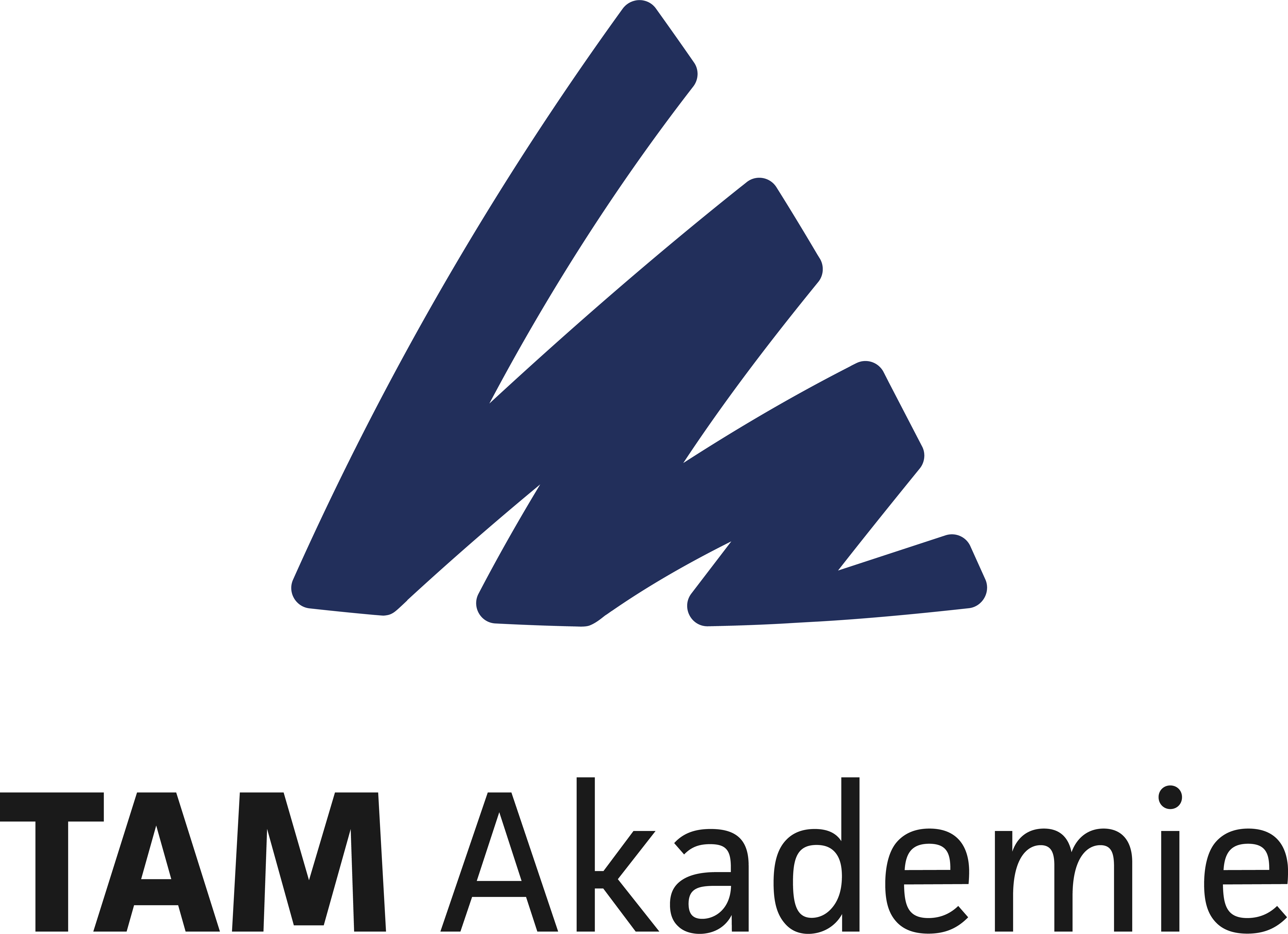 TAM Akademie Logo
